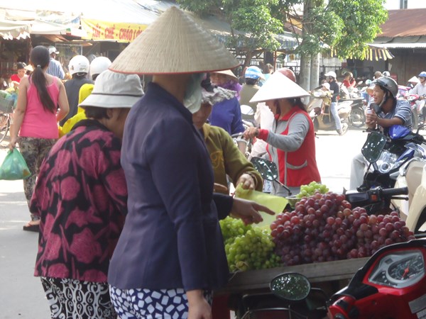Cách phân biệt nho Việt Nam với nho Trung Quốc
