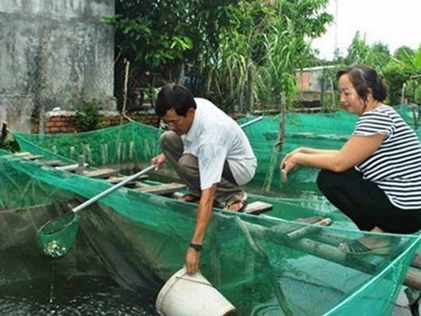 Điều ít biết về hoa hậu có gia cảnh nghèo nhất Việt Nam